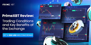Unlocking the Potential of PrimeXBT Forex Trading