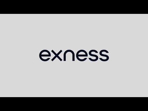 Understanding the Exness IB Program An Essential Guide